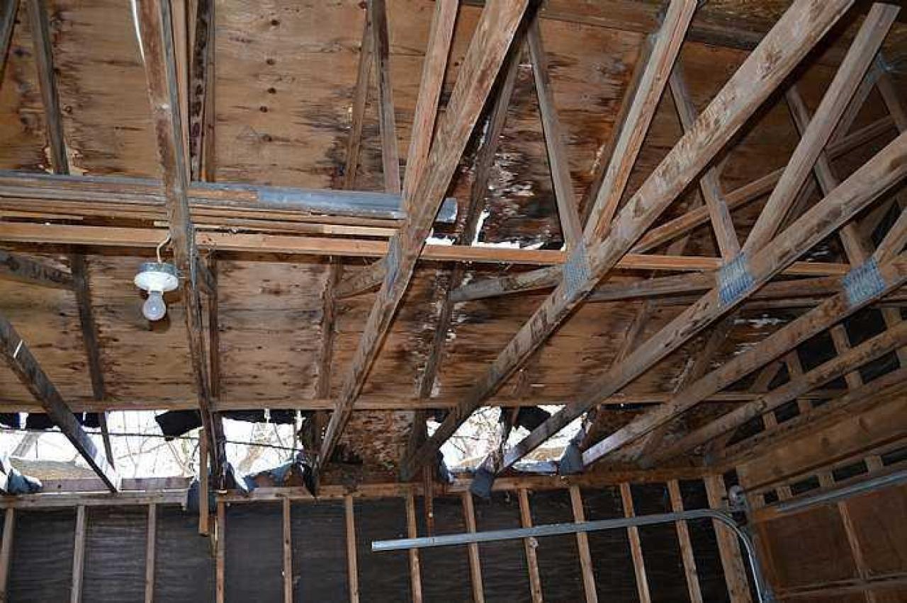 April 2016 - DSC_0654.jpg