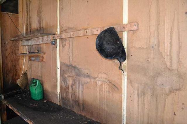 April 2016 - DSC_0655.jpg