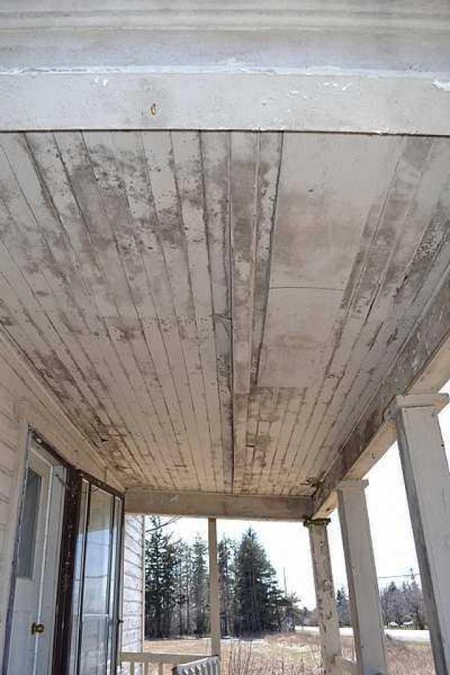 April 2016 - DSC_0660.jpg