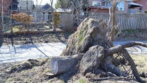 School Of The Unknown photo 3