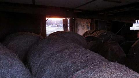 Sunrise Exploration - Big-Ol-Barn11.jpg