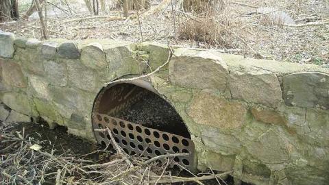 Photo from April 2016