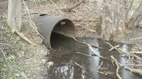 Photo from April 2016