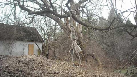 April 2016 - A.M.-Ross-Farm23.jpg