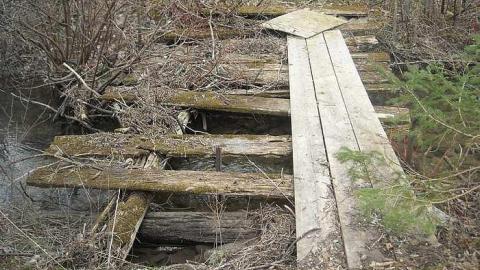 April 2016 - A.M.-Ross-Farm17.jpg