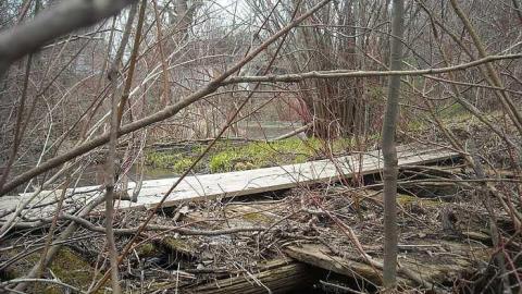 April 2016 - A.M.-Ross-Farm18.jpg