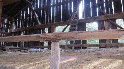 One Somewhat NSFW Photo - e-IMG_3084.jpg