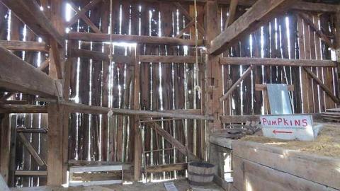 One Somewhat NSFW Photo - v-IMG_3086.jpg