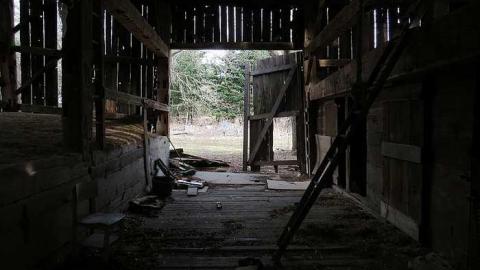 One Somewhat NSFW Photo - y-IMG_3089.jpg