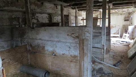 One Somewhat NSFW Photo - p-IMG_3097.jpg