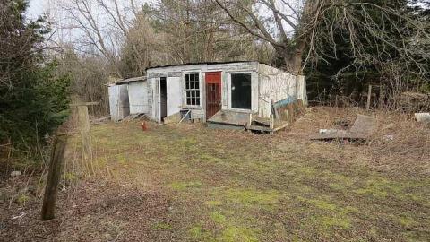 One Somewhat NSFW Photo - v-IMG_3100.jpg