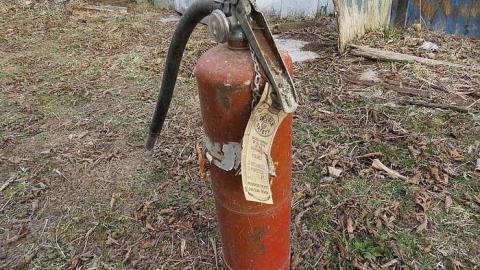 One Somewhat NSFW Photo - j-IMG_3101.jpg