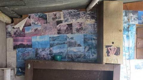 One Somewhat NSFW Photo - p-IMG_3108.jpg