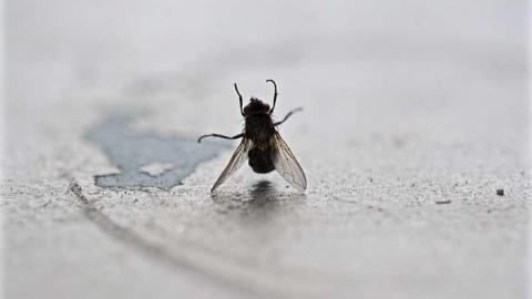 Pieces Coming Together  - Who-Owns-These-Memories9.jpg