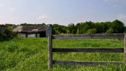 Photo from Pilar Barn