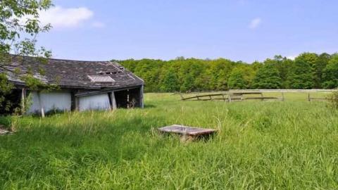 Photo from Pilar Barn