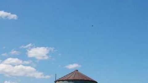 Black Horse Colourful House - New Tecumseth, Ontario