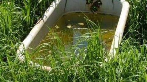 Black Horse Colourful House photo 2