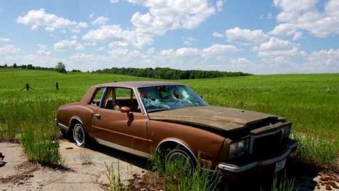 Black Horse Colourful House photo 5