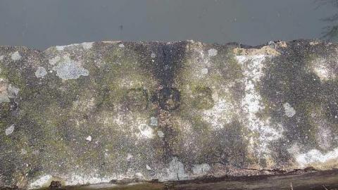 1908 - Old-Fergus-Bridge4.jpg