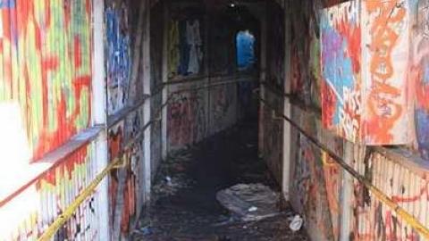 Photo from Spring at the Tube