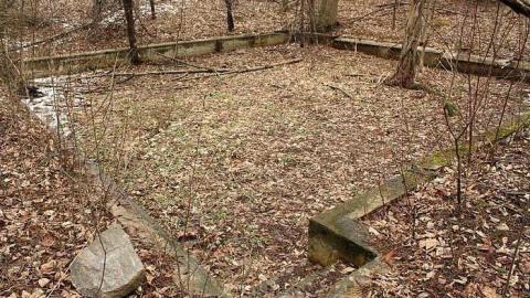 Photo from Day trip to the Lake