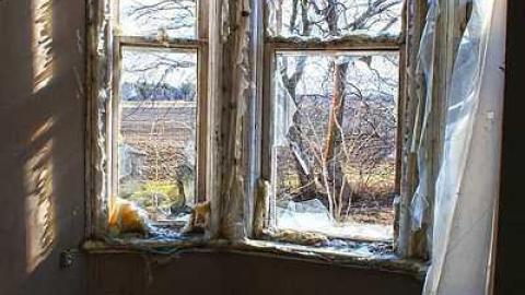 Photo from Leaman brothers