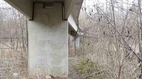 Cut Short - Canadian-Domain-Ride2.jpg