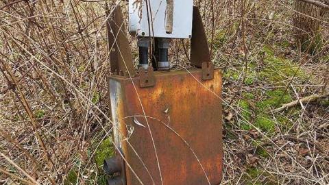 Cut Short - Canadian-Domain-Ride3.jpg