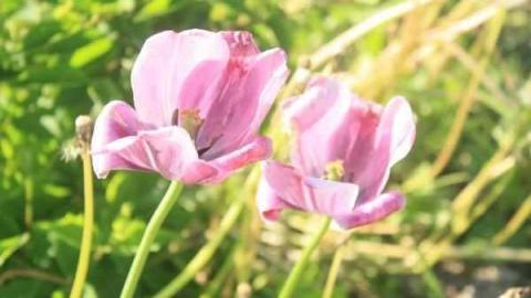 Welsh House - Welsh-House80.jpg