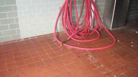 Kellogg London Inc. photo 2