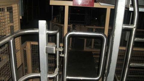 kellogg - Kellogg-London-Inc.7.jpg