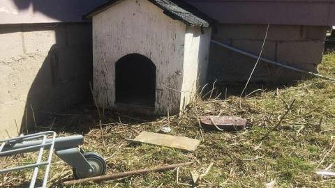 Impromptu iPad Photography - Squatter-House2.jpg