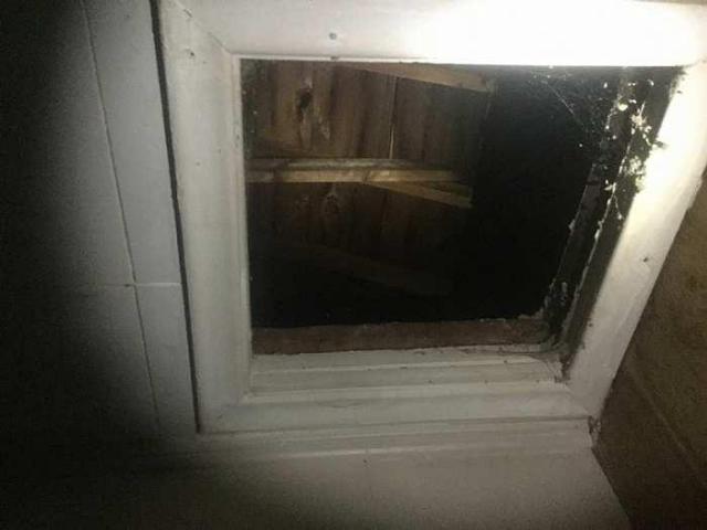 Squatter House photo 4