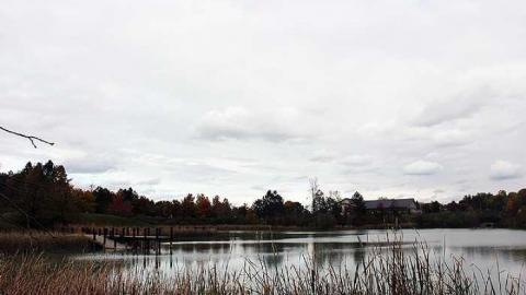 Townsend - Townsend-(galleries)4.jpg