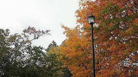 Townsend - Townsend-(galleries)1.jpg