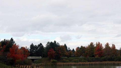 Townsend - Townsend-(galleries)2.jpg