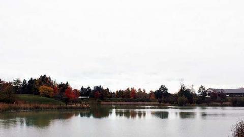 Townsend - Townsend-(galleries)6.jpg