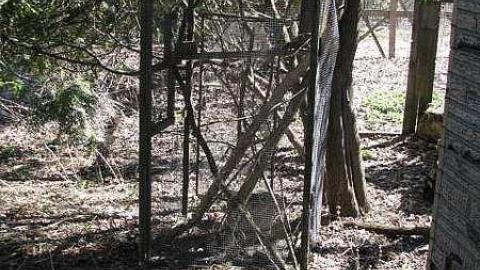 Boyinton House - 19.jpg