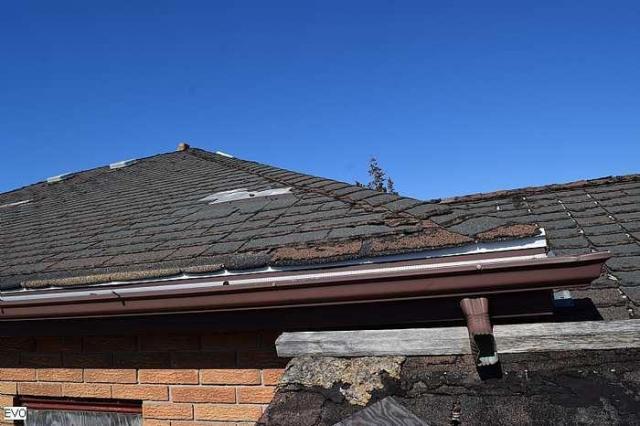 up on the roof - DSC_0139.jpg