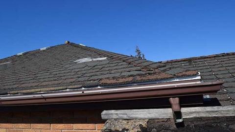 up on the roof - DSC_0139.jpg