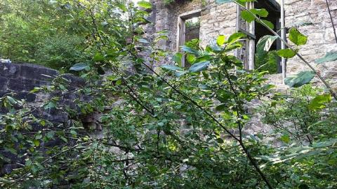 Grist Mill - Darnley-Mill-Crooks-Hollow159.jpg