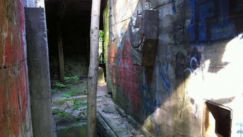 Grist Mill - Darnley-Mill-Crooks-Hollow160.jpg