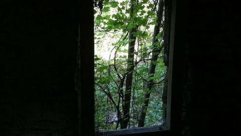 Grist Mill - Darnley-Mill-Crooks-Hollow163.jpg