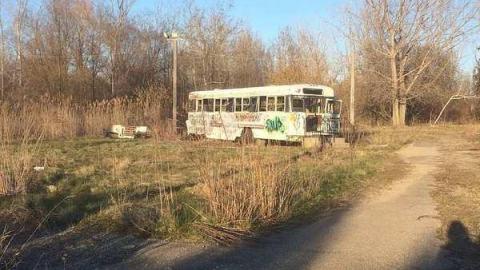 Prudhommes/Wet n' Wild - Wet-And-Wild-Waterpark175.jpg