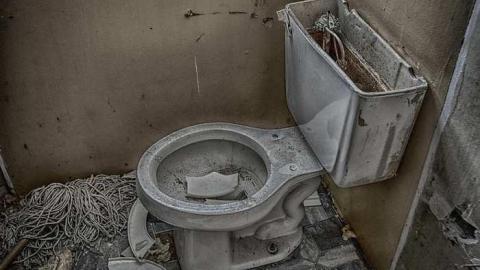 La Maison Aux Rats - La maison aux rats13.jpg