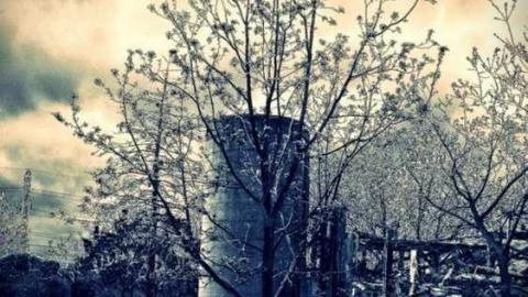 May Visit House of Ticks - Clipboard12aaa.jpg