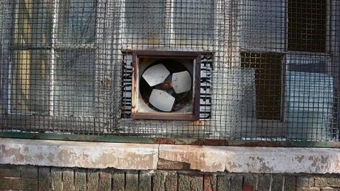 Century Manor  - Century-Manor-Asylum472.jpg