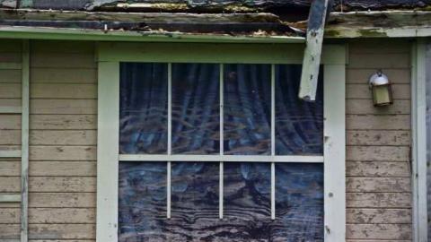 May Visit House of Ticks - DSCF7326.jpg