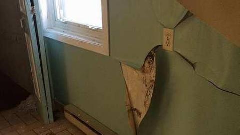 The house - Beep-Beep-Home8.jpg